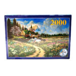 پازل 2000تکه جعبه ای 20002 رینگ