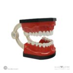 مولاژ دندان3برابر