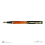 خودنویس نفیس پیرگاردین نپتون گیره زرد