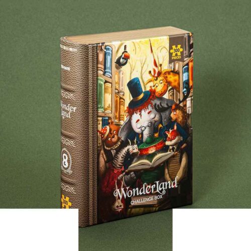 پازل کیدفنز کد2423