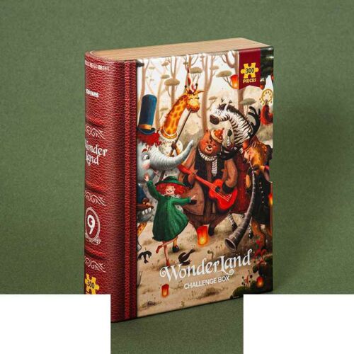 پازل کیدفنز کد2422