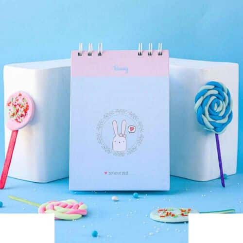 دفتر25برگی B6سایز125*175 کاغذرنگی ابرنگی خرگوشی برگ سری بانی استایل کد70853