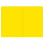 پوشه کلاسیک زردکرونا